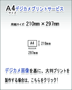 大判印刷サービス サイズ 210mm 297mm のご案内